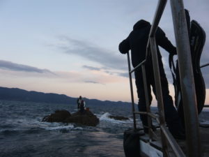静寂から一転、しなる竿の重み！牟岐大島、冬の磯釣り・後編