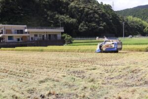 モラスコむぎを利用してみて感じた魅力